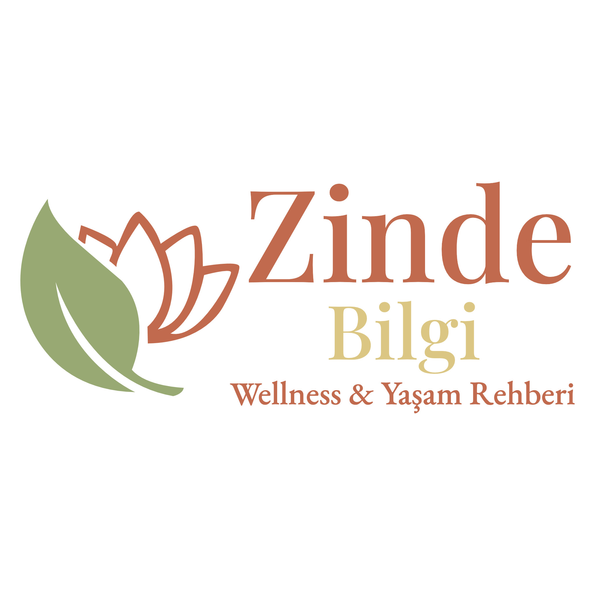 Zinde Bilgi